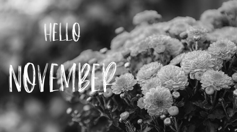 Hello November Quotes and Sayings