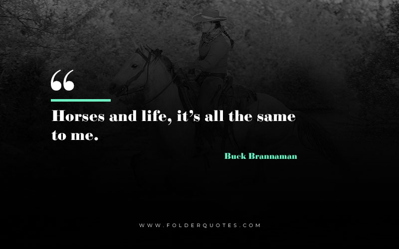 Buck Brannaman Quotes